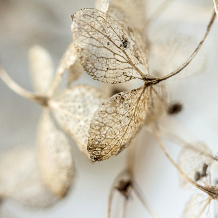 평택농협장례식장