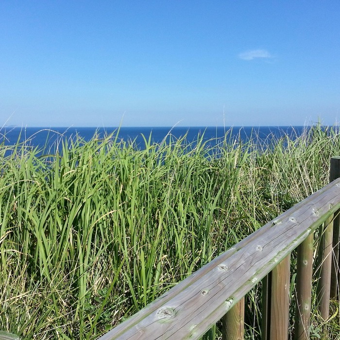 제주올레 6코스