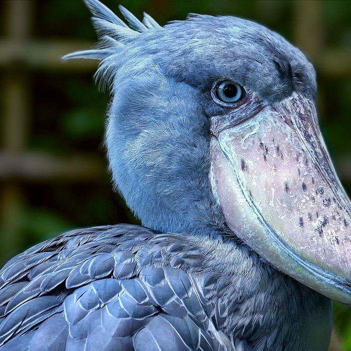 전자세금계산서 중요성
