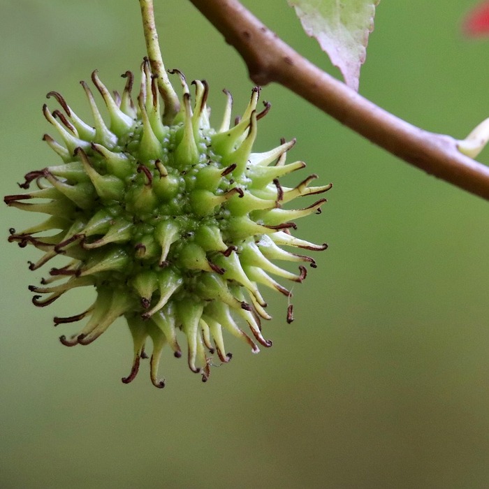 할로겐 화합물 특징