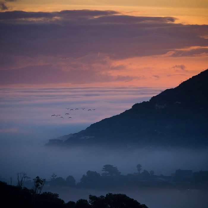 청기와 타운 김치찌개