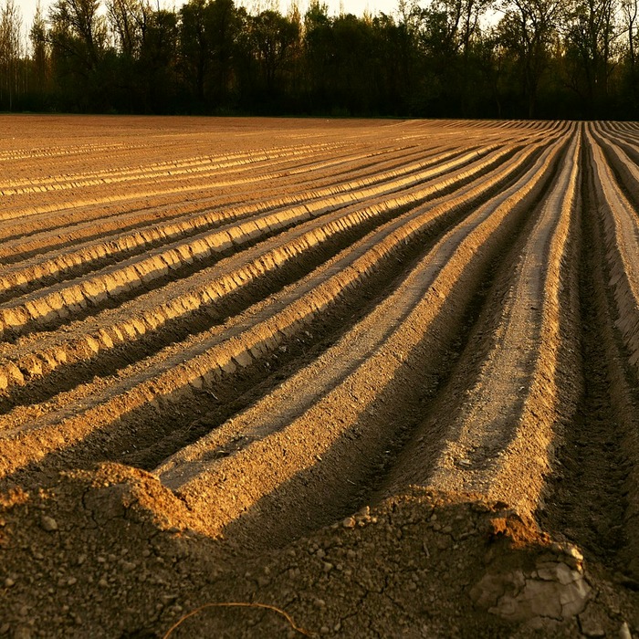 조정 도구 준비