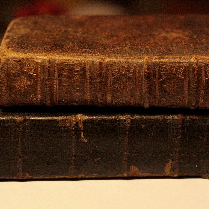 경북대학교 인맥