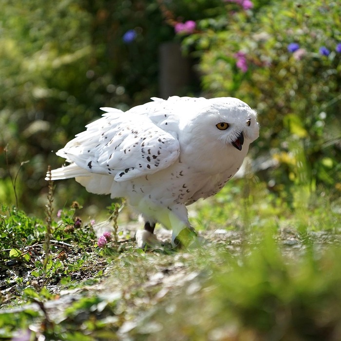 민자도로 통행료