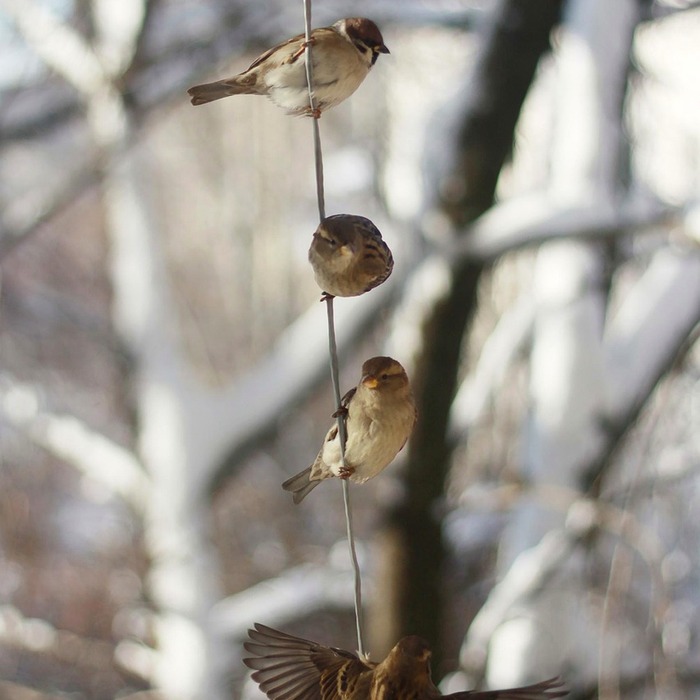 그림 크기와 심리