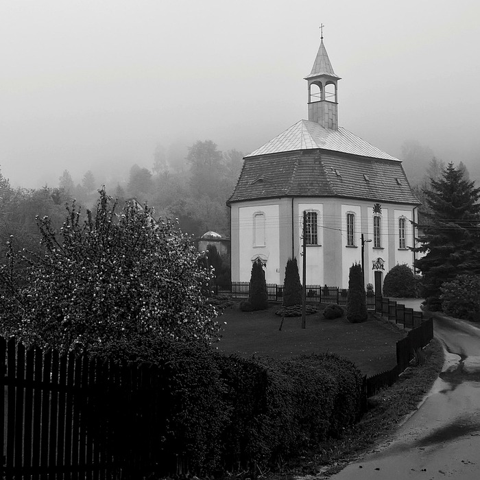 통신사 해지 방법