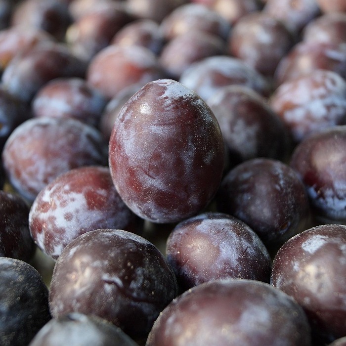 겨울철 면역력 식품