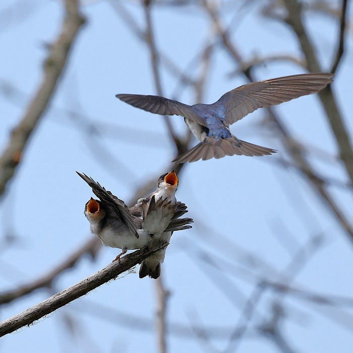 원주세브란스기독병원