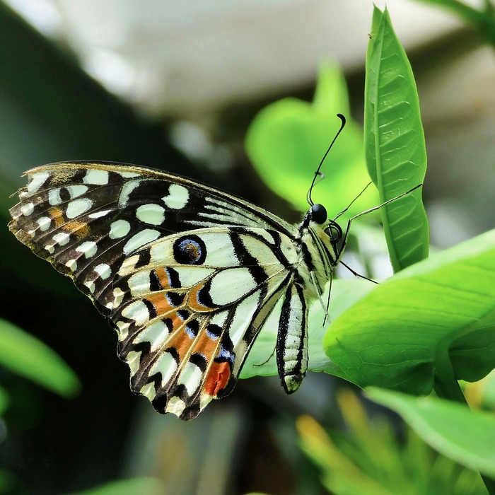 수분 섭취 중요성