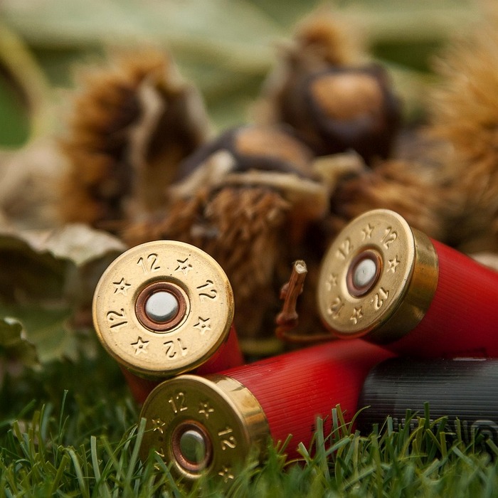 토너 카트리지 점검