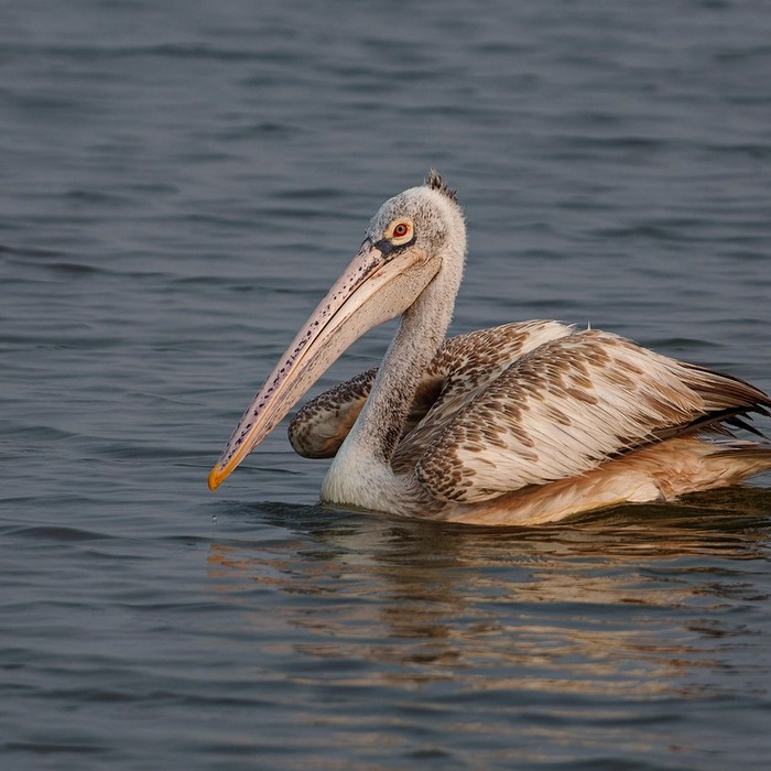 세금계산서 청구
