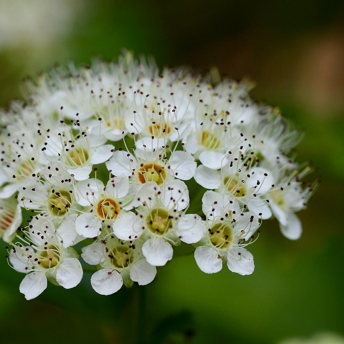 방광암 내시경 수술