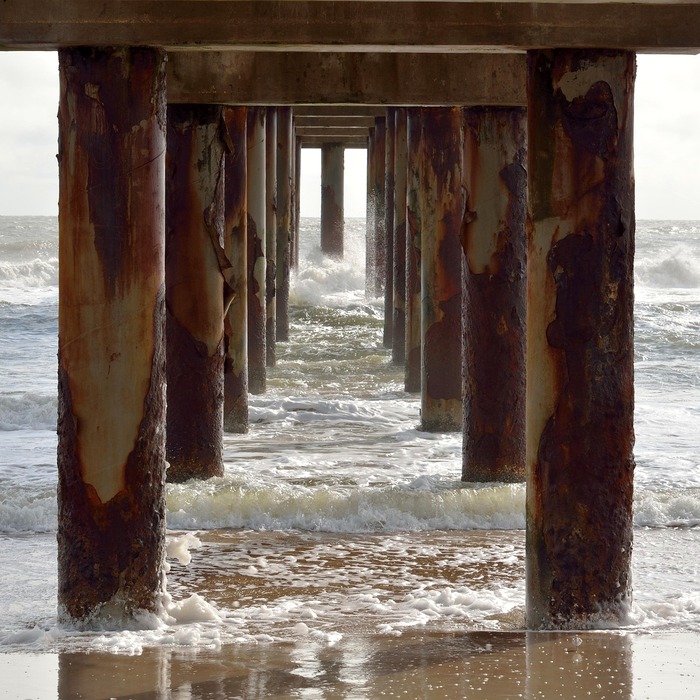 바다 낚시 장면