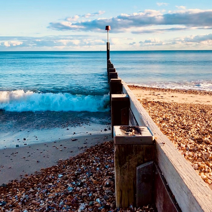 사타구니 부풀어 오름