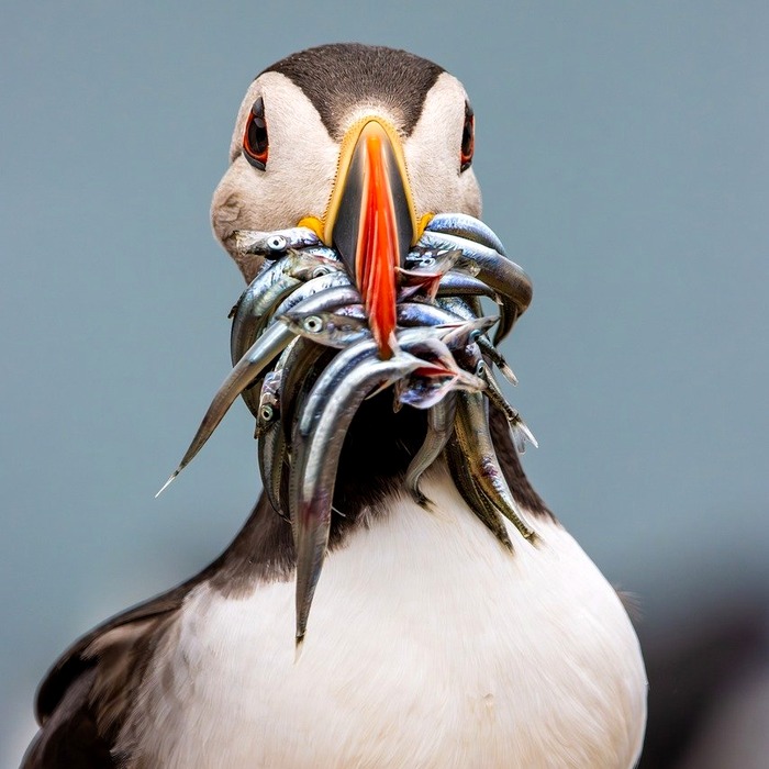 일정 관리 도구