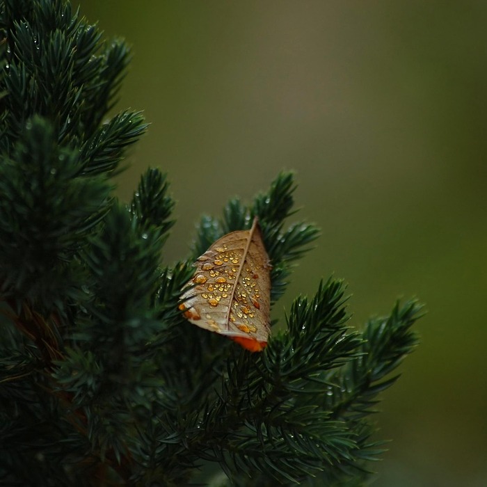 투자 상품 종류