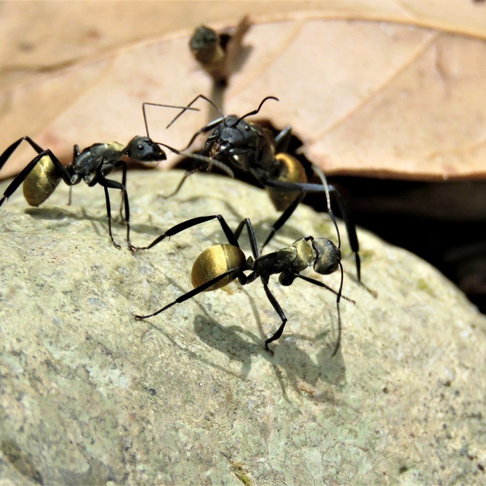 고금리 적금 현황