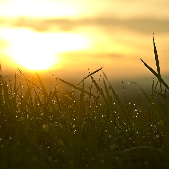 수습 기간 시작