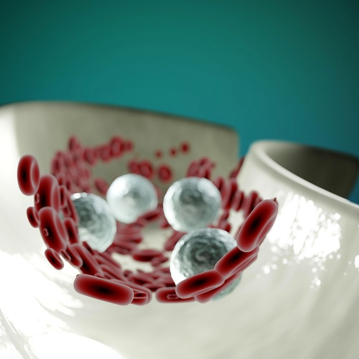 혈액 순환 개선