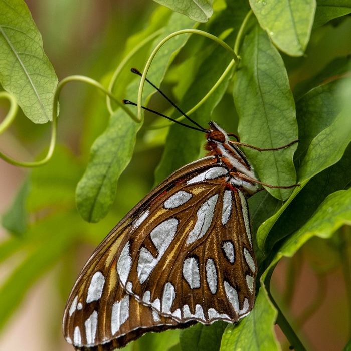 손님 맞이 인사