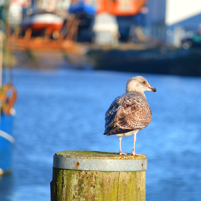 숨 참기 중요성
