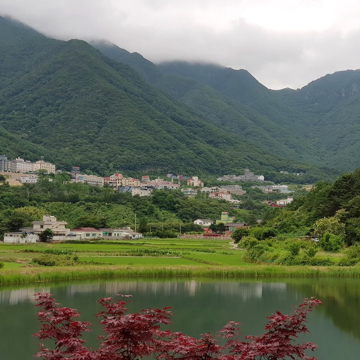 전주 치킨 맛집