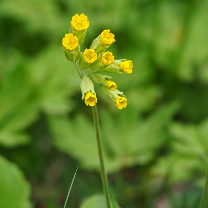 토스뱅크 굴비적금