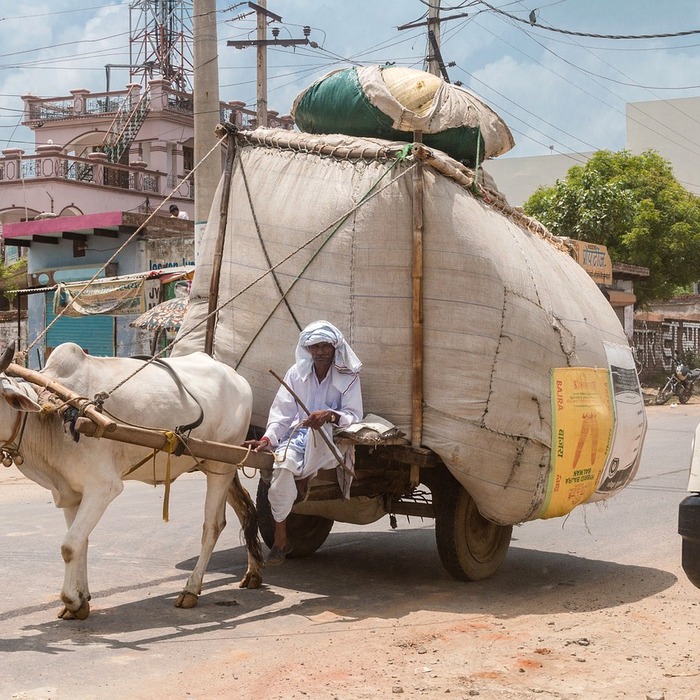 금융 상품 비교