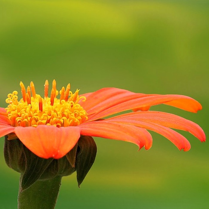 노란 피부톤 색상