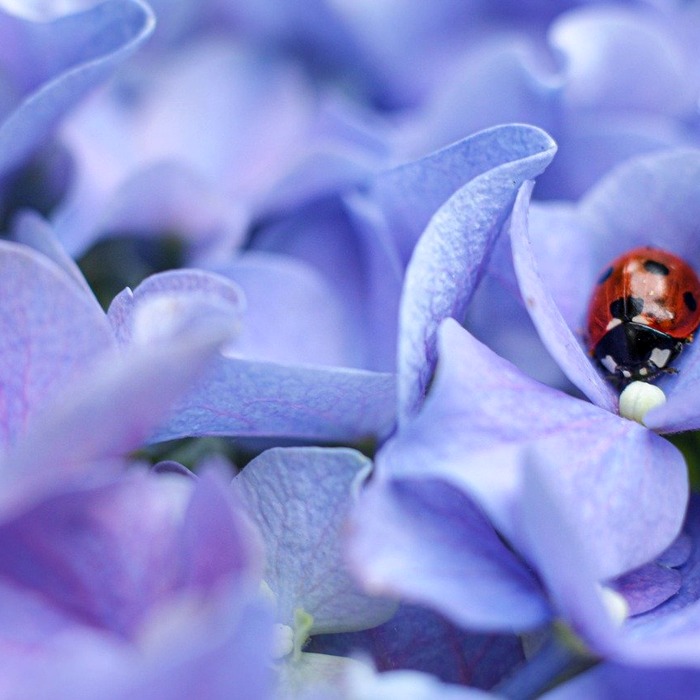 부드러운 섬유 촉감