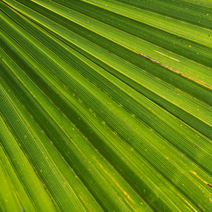 꿈의 상징 해석