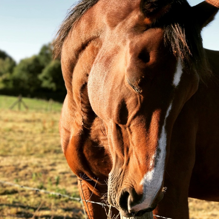 최저생계비 기준