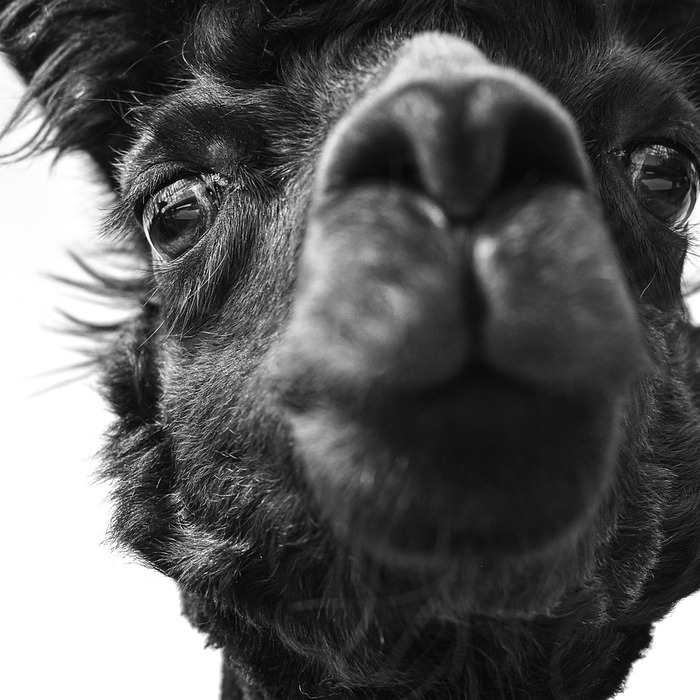 복지 혜택 지원