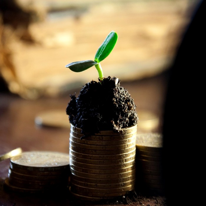 삼성전자 배당금