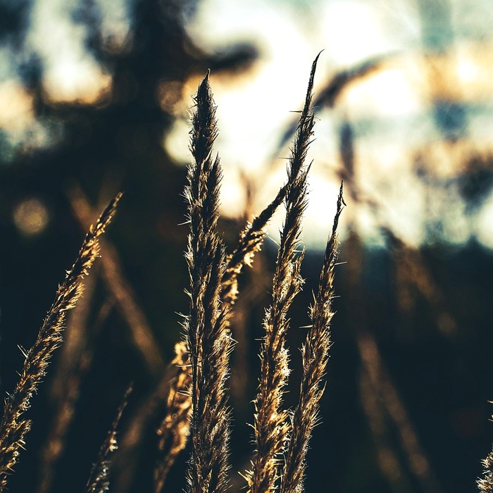 유통기한 관리 팁