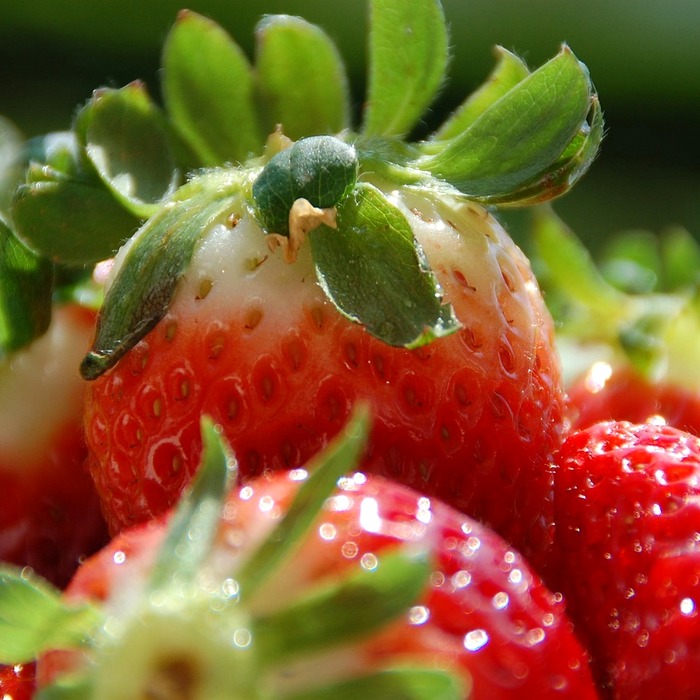 신선도 유지 비법