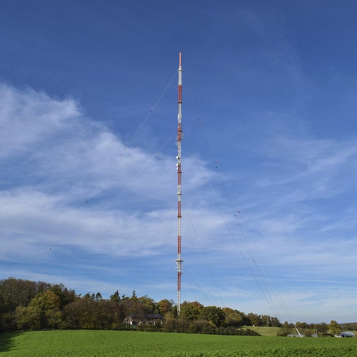 전자레인지 사용 모습