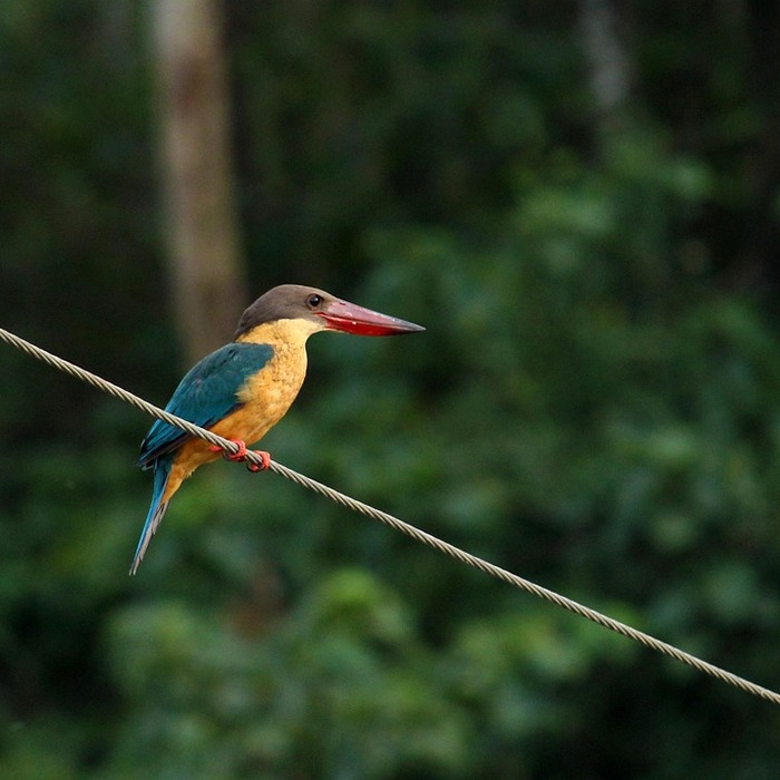 보험금 청구 유형