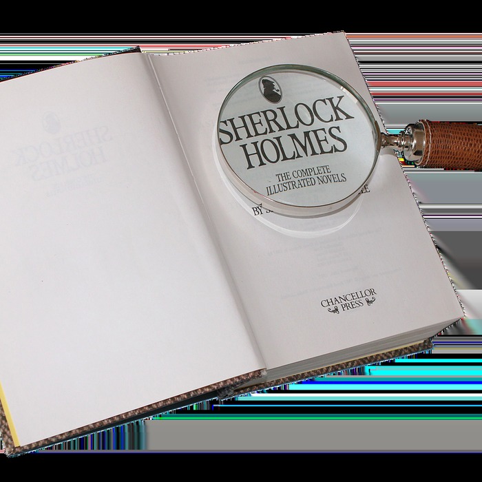 프로파일러 태수