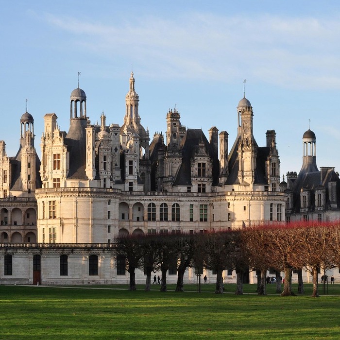 진단금 지급 조건