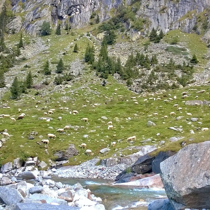 연말정산 세액 공제