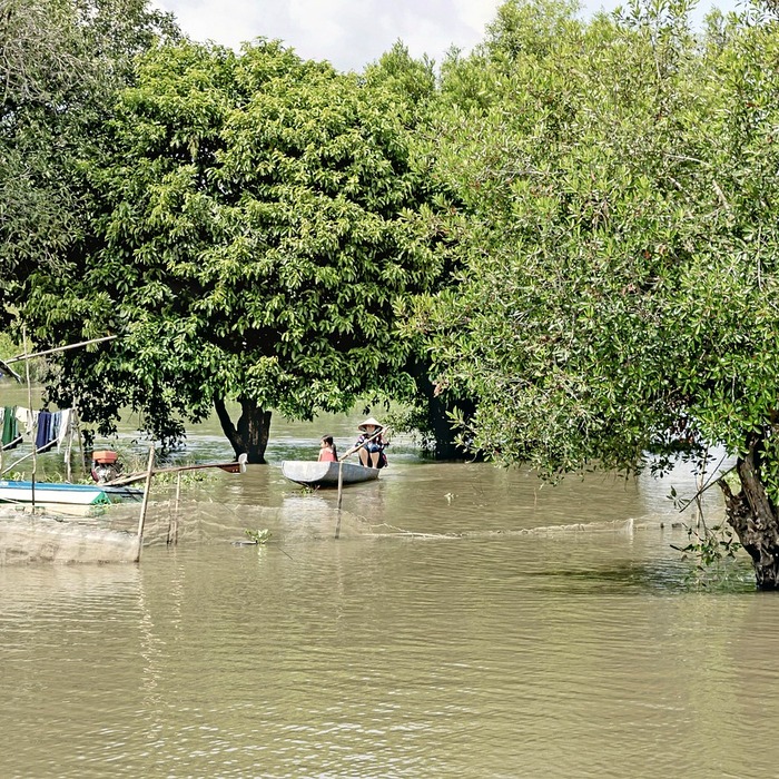 철분 결핍 증상