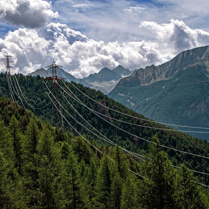 자연 환경 영향