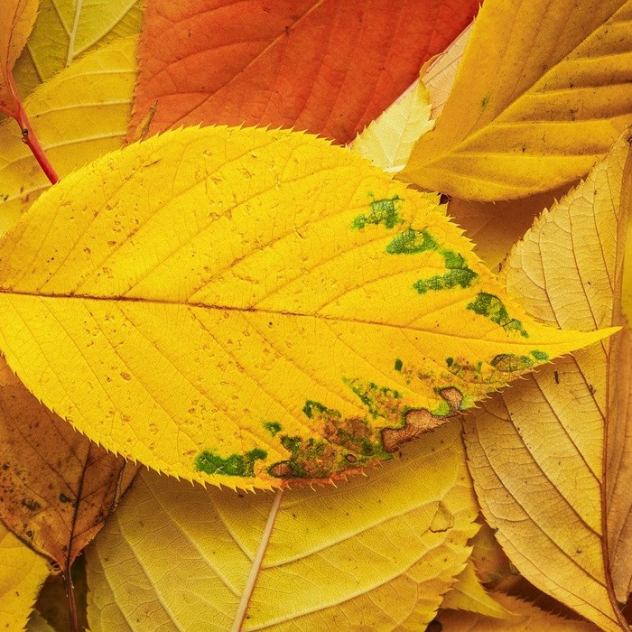 떨어짐 사고 예방