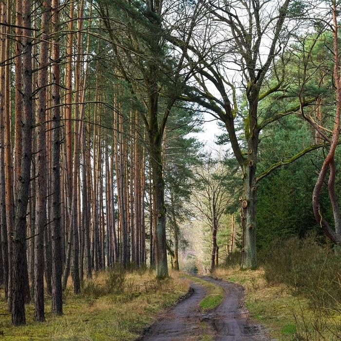 단어 암기 방법