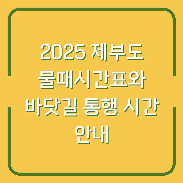 2025 제부도 물때시간표와 바닷길 통행 시간 안내