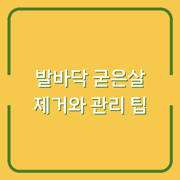 발바닥 굳은살 제거와 관리 팁