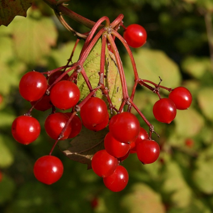 평균 시세 정보