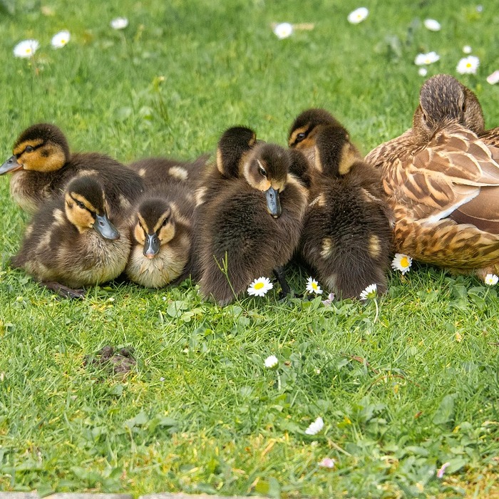 아이들과 전시 관람
