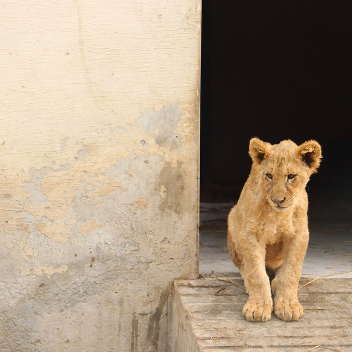 허리 협착증 증상